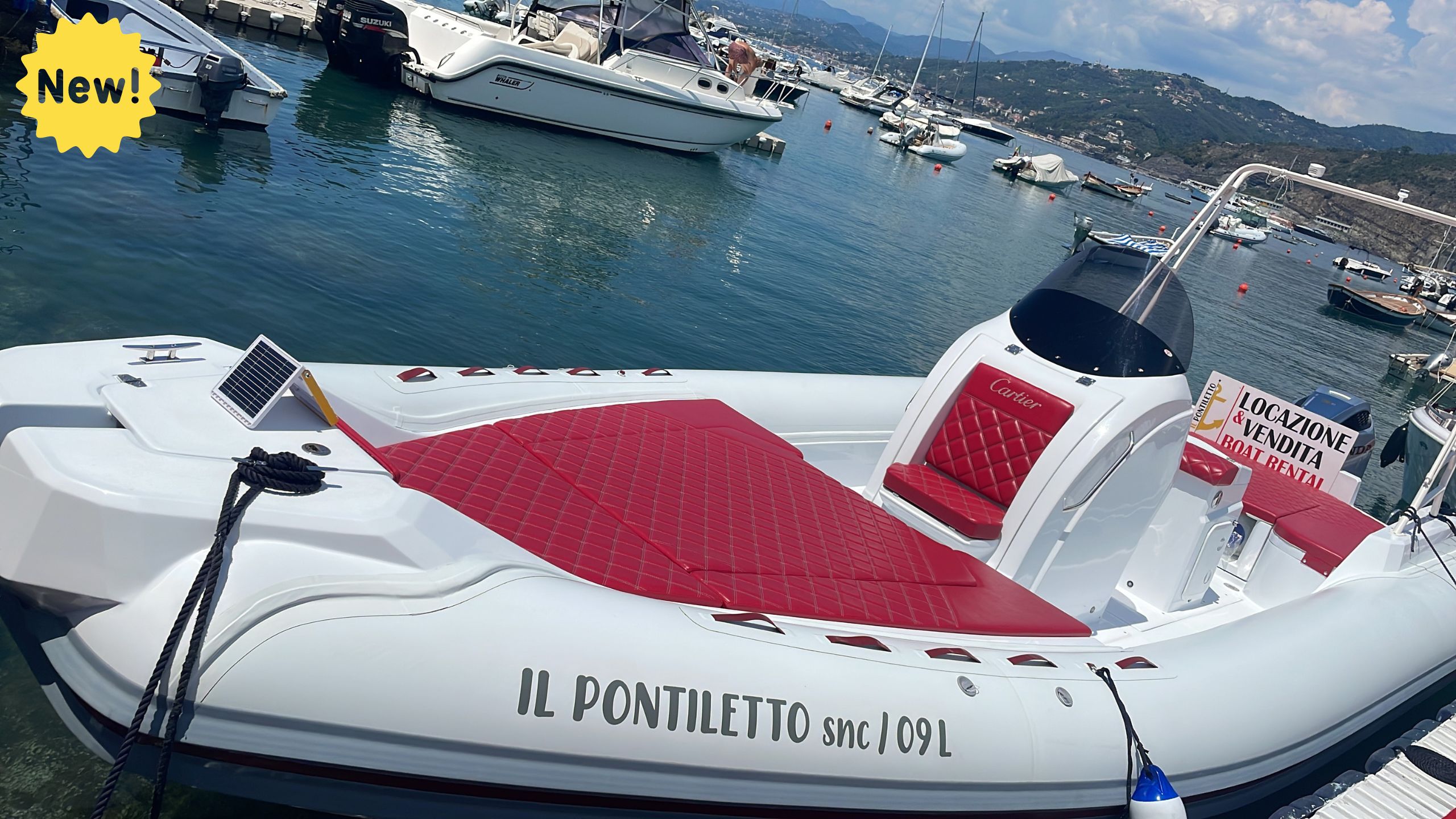 Cartier Dinghy with boat license 250hp (Max: 16 People)