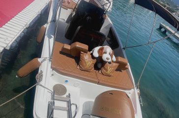 boat (33)